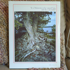 Minnesota Wild – Les & Craig Blacklock Coffee table hard cover book pub. 1983