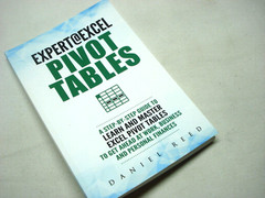 EXPERT @ EXCEL PIVOT TABLES HOW TO BOOKLET BY DANIEL REED (64 PAGES)