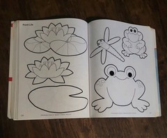 Big Book of Patterns (PreK-K) The Mailbox The Education Center Teaching Resource