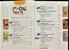 5th Grade – READING – Student Textbook (2005, Macmillan/McGraw-Hill)