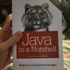 Java in a Nutshell : A Desktop Quick Reference by Benjamin J. Evans and David…