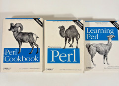 Lot Of 3 – O’Reilly Learning Perl, Programming Perl, Perl Cookbook