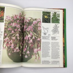 VTG House Plants The Illustrated Encyclopedia Hardcover Book by W. Davidson 1984