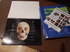 Pearson Human A&P books Vol 1/2, 2nd edititon w/cd rom, & atlas of human body