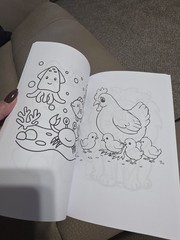 Big Feelings Coloring Book: Adapted Edition for Children with Autism – Brand New