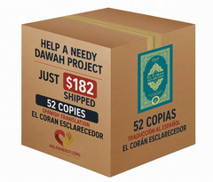 El Coran Esclarecedor The Clear Quran Spanish Quran Translation Box Of 52 Copies