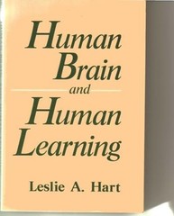 Human Brain and Human Learning