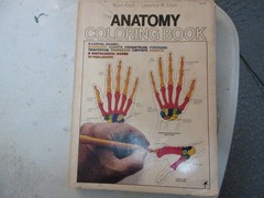 The Anatomy Coloring Book – Paperback By Kapit, Wynn – USED*