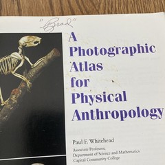 A Photographic Atlas for Physical Anthropology Whitehead 2005 Anatomy Evolution