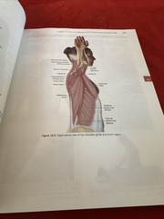 Muscle and Bone Palpation Manual with Trigger Points, Referral Patterns and…
