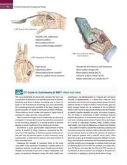 Functional Anatomy for Occupational Therapy – 1st Edition