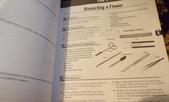 10th Grade Books for Abeka: Keys/ Physical Education 2