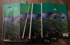 Understanding God’s World PB Book Abeka Science Health Series 4th Ed