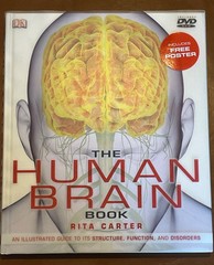 The Human Brain Book – Hardcover By Rita Carter – GOOD