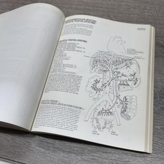 Vintage The Anatomy Coloring Book Kapit Elson Harper & Row Beige PB USA 1977