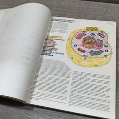 Vintage The Anatomy Coloring Book Kapit Elson Harper & Row Beige PB USA 1977