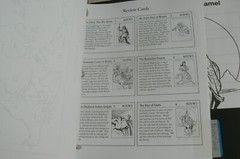 The Story of World,Activity Book Two :Middle Ages,History,Bauer,complete&clean!