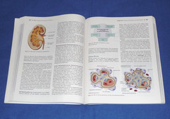 Human Diseases A Systemic Approach 8th Edition Zelman Raymond Holdaway Dafnis…