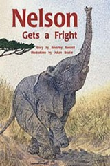 Nelson Gets a Fright: Individual Student Editio- 9780763527808, paperback, RIGBY