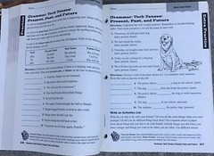 3rd Grade 3 Reading Homeschool Curriculum Teacher Resources Scott Foresman Set