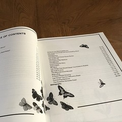 Connecting Rainbows: A Good Apple Activity Book for Gr 3-12