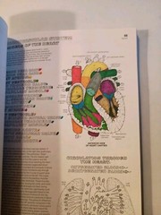 Anatomy : Coloring Book by Wynn Kapit and Lawrence M. Elson (1997, Trade…