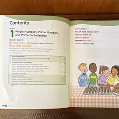 Marshall Cavendish Math in Focus Singapore Math Student Edition Course 1A