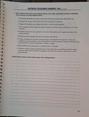 DBT Skills Training: Handouts and Worksheets, 2nd Ed, Linehan, Spiral – LIKE NEW