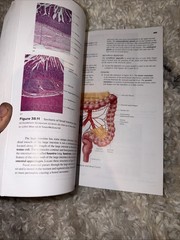 Seeley’s Anatomy & Physiology- Laboratory Manual- 13th Edition Spiral Paperback