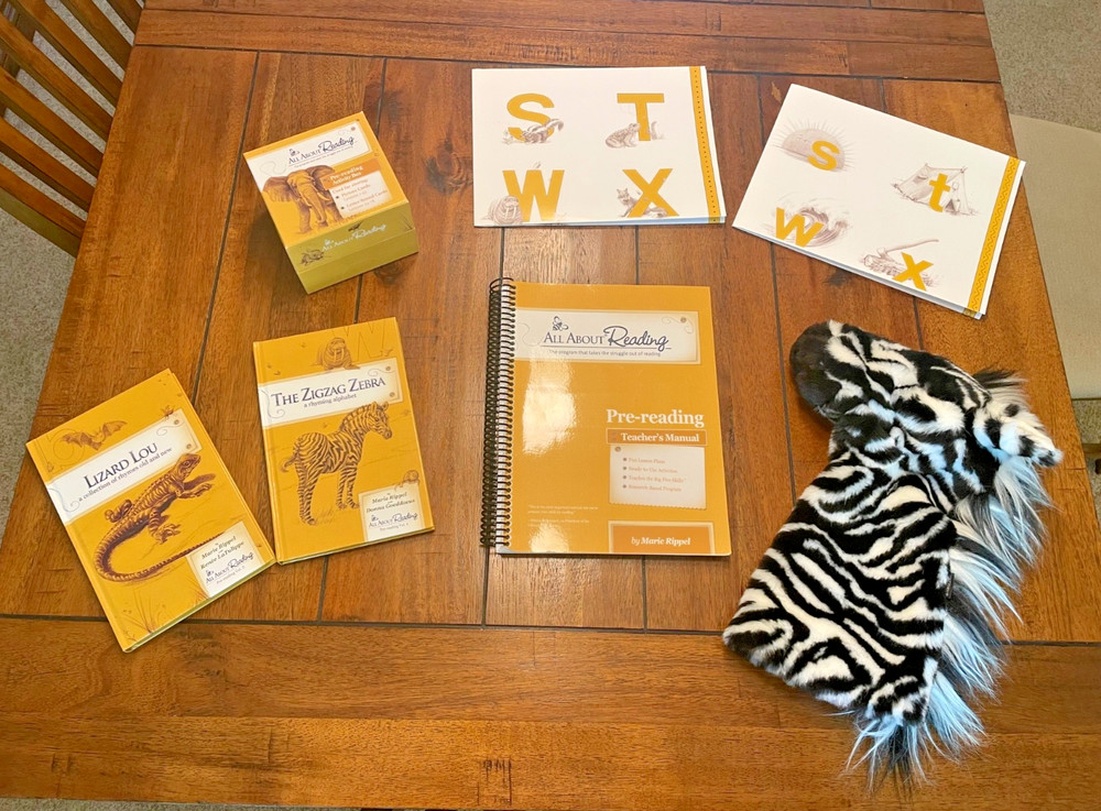 All About Reading Pre-Reading Complete Set Ziggy Activity Box Readers Manual