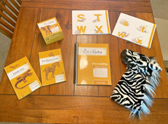 All About Reading Pre-Reading Complete Set Ziggy Activity Box Readers Manual