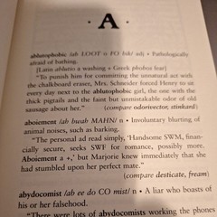 Depraved and Insulting English – paperback Novobatzky, Peter|Shea, Ammon
