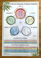 Laminated Wall Chart The Five Elements of Chinese Medicine Miridia Acupuncture