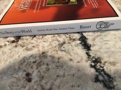 The Story Of The World History For The Classical Child Activity Book One Revised