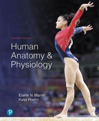 Human Anatomy & Physiology, Marieb, Elaine,Hoehn, Katja, Good Book