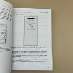 iOS Programming Big Nerd Ranch Guide Christian Keur 2021 7th Edition Paperback