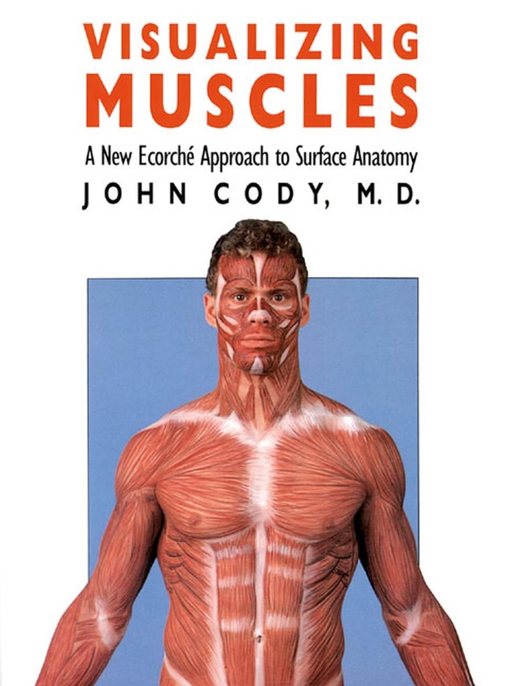 Visualizing Muscles: A New Ecorché Approach to Surface Anatomy – paperback …