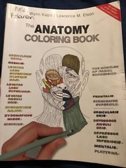 The Anatomy Coloring Book by Lawrence M. Elson and Wynn Kapit (2001, Trade…