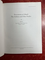 Museum Monograph Ser: Excavations at Gilund : The Artifacts & Other Studies 2014