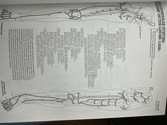 The Anatomy Coloring Book by Lawrence M. Elson and Wynn Kapit