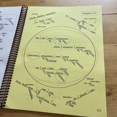 America’s Spelling & Reading with Riggs The Complete Book of Diagrams Homeschool