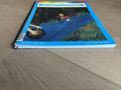 Moving Beyond The Page 9-11 The Ballad Of Lucy Whipple Language Arts Homeschool