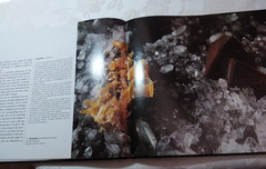 Rock identification book The Magic of Minerals 110 photos color large 196 pgs hb