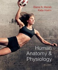 Human Anatomy & Physiology (9th Edition) by Elaine N. Marieb; Katja N. Hoehn