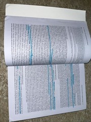 Single Case Research Methodology