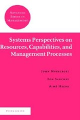 Systems Perspectives On Resources, Capabilities, And Management Processes