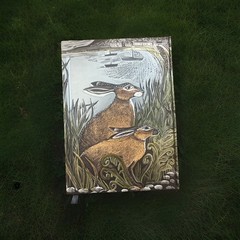 Angela Harding: Rathlin Hares (Foiled Journal) (Notebook) Flame Tree Notebooks