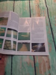 Compendium of Turfgrass Diseases Book – Paperback, by Richard W. Smiley