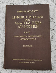 Atlas Of Human Anatomy 1952 Vol 1 In German Skeletal, Muscular General systems