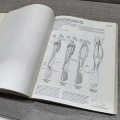 Vintage The Anatomy Coloring Book Kapit Elson Harper & Row Beige PB USA 1977